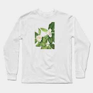 Jazmin Long Sleeve T-Shirt